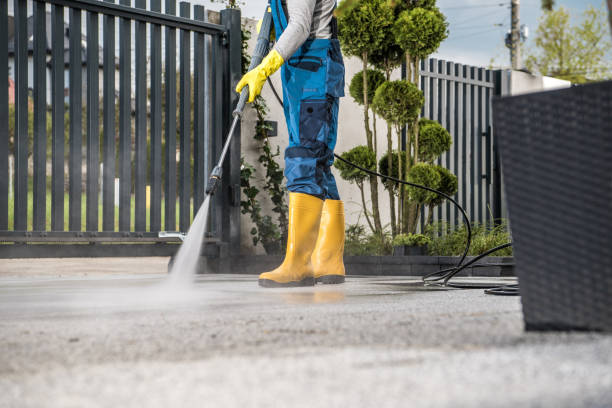 Best Deck Cleaning Services  in Sleepy Eye, MN