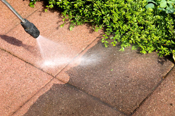 Best Exterior Home Cleaning  in Sleepy Eye, MN